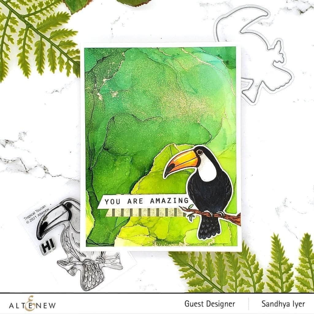 Part A-Glitz Art Craft Co.,LTD Dies Tropical Toucan Die