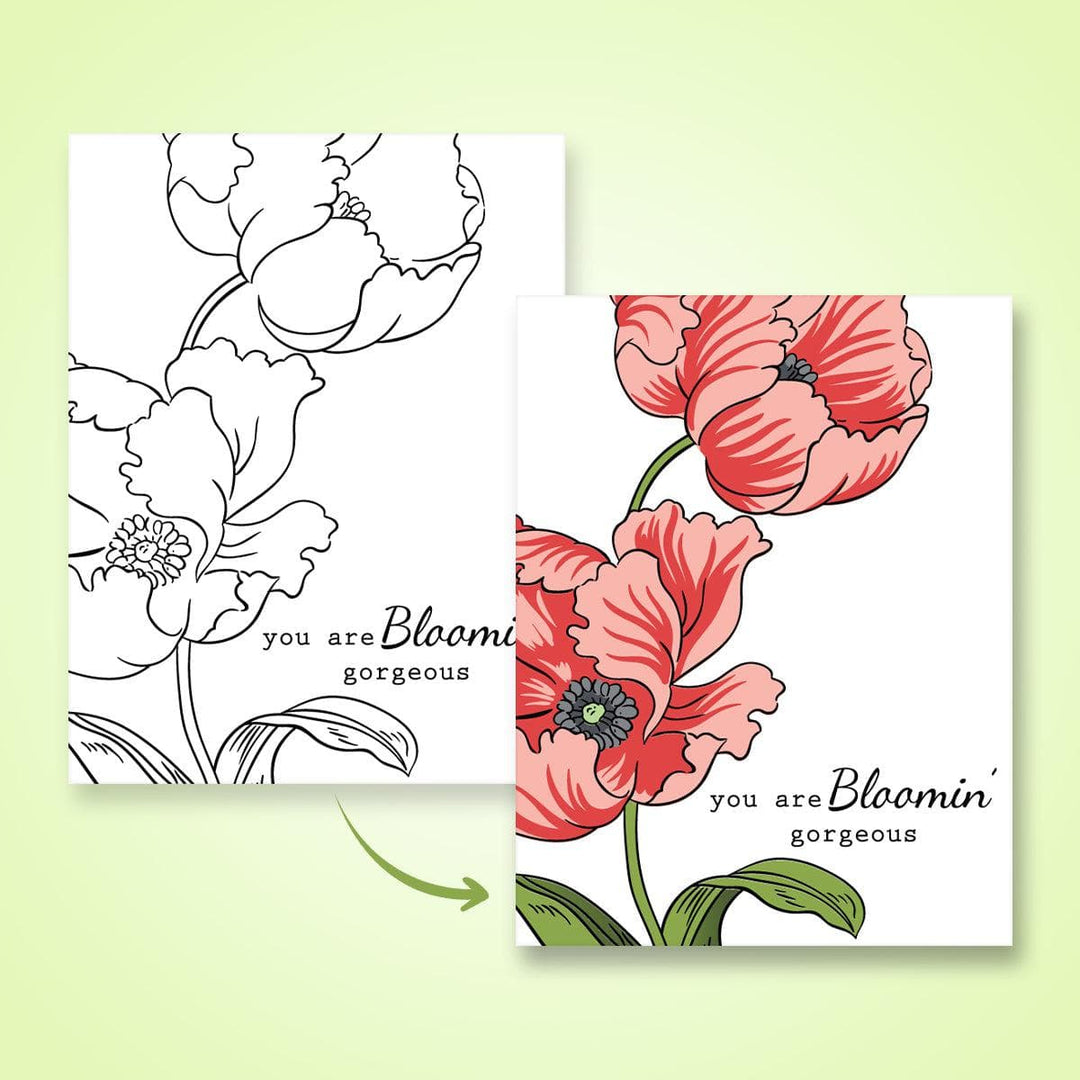 55Printing.com Digital Downloads Colorific Creations (FREE Coloring Pages)