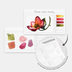 Free Printable Watercolor Swatch Cards for Artists & Crafters