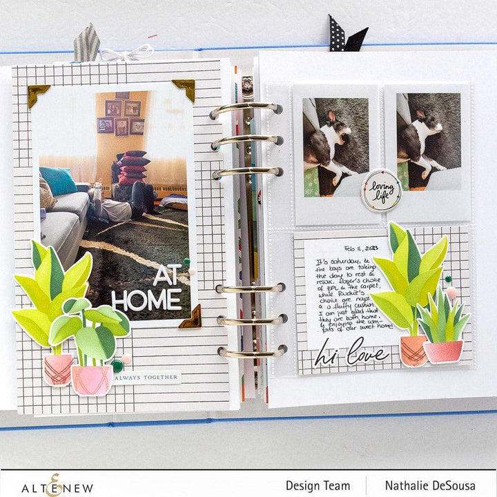 Altenew Dynamic Duo Dynamic Duo: Hanging Houseplants