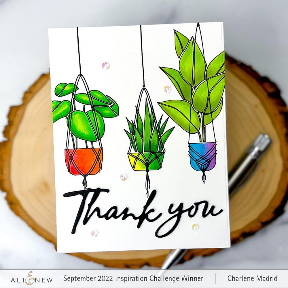 Altenew Dynamic Duo Dynamic Duo: Hanging Houseplants