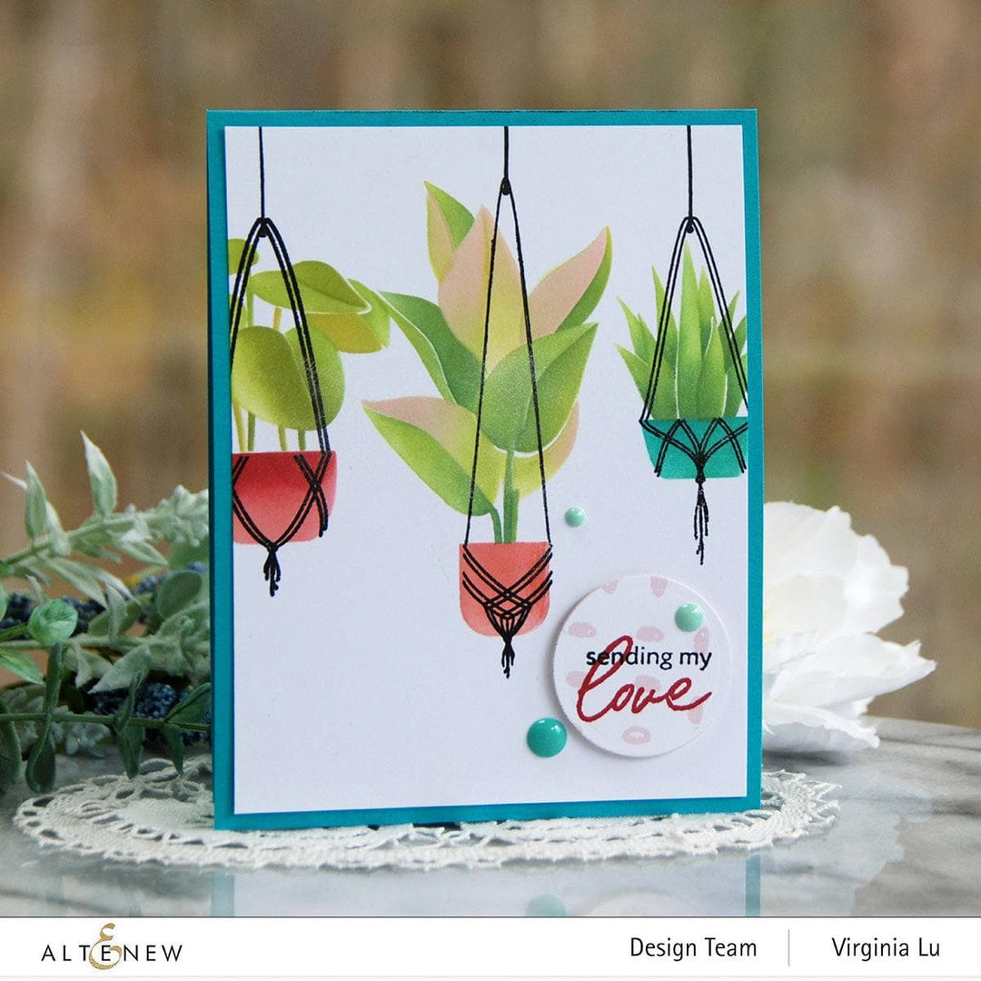 sizzix hanging planter Dynamic Duo: Hanging Houseplants