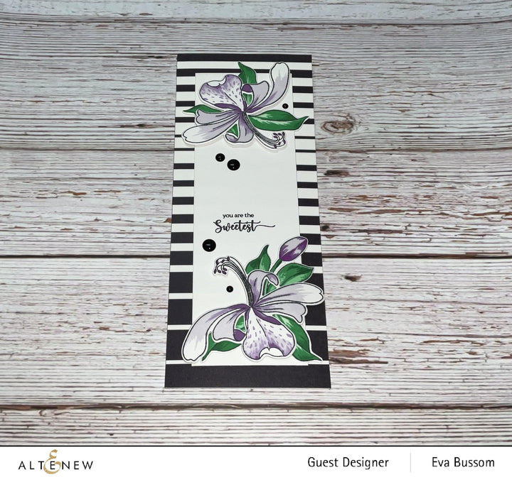 Chinesecrafts Embellishments Essential Black & White Enamel Dots