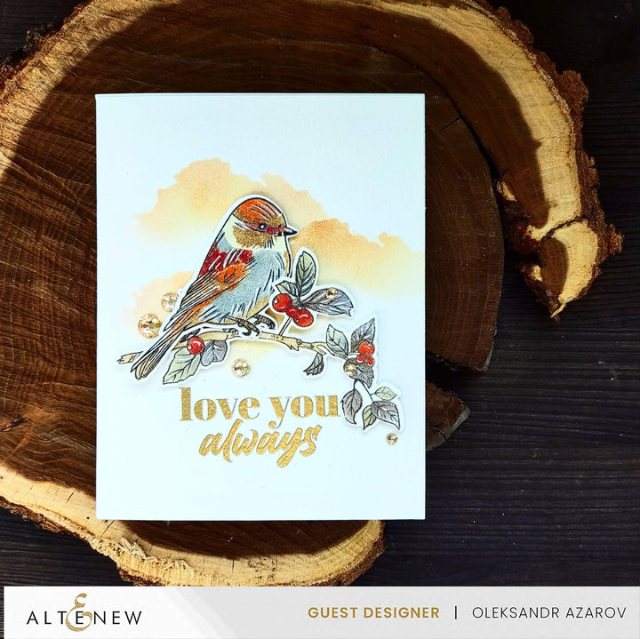 Red Jasper Gem Sparkles