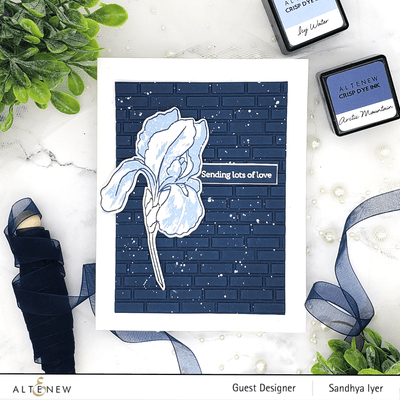 Altenew | Card Making, Scrapbooking & Paper-Crafting Supplies! Embossing Folder Bundle Adventures Ahead Embossing Folder Release Bundle