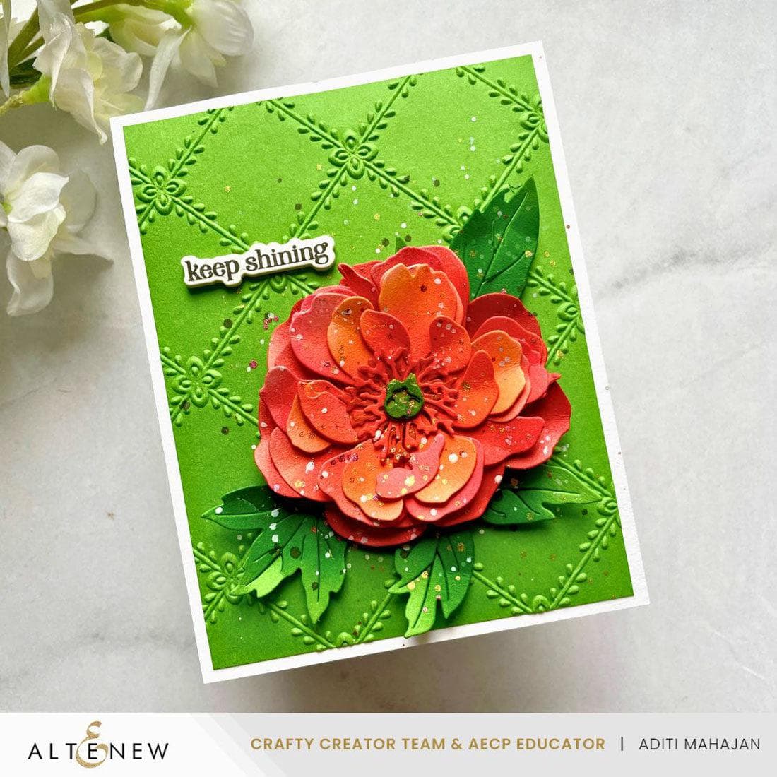 Crisscross Blooms 3D Embossing Folder