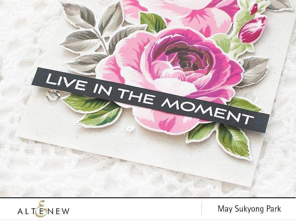 Stewart Superior Embossing Powder Pure White Crisp Embossing Powder