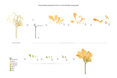 Part A-Glitz Art Craft Co.,LTD Hot Foil Plate Freesia Hot Foil Plate