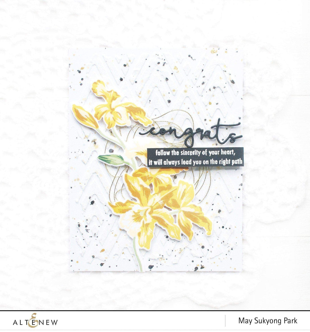 Stewart Superior Ink Bundle ChromaBloom Delights Fresh Dye Ink Bundle