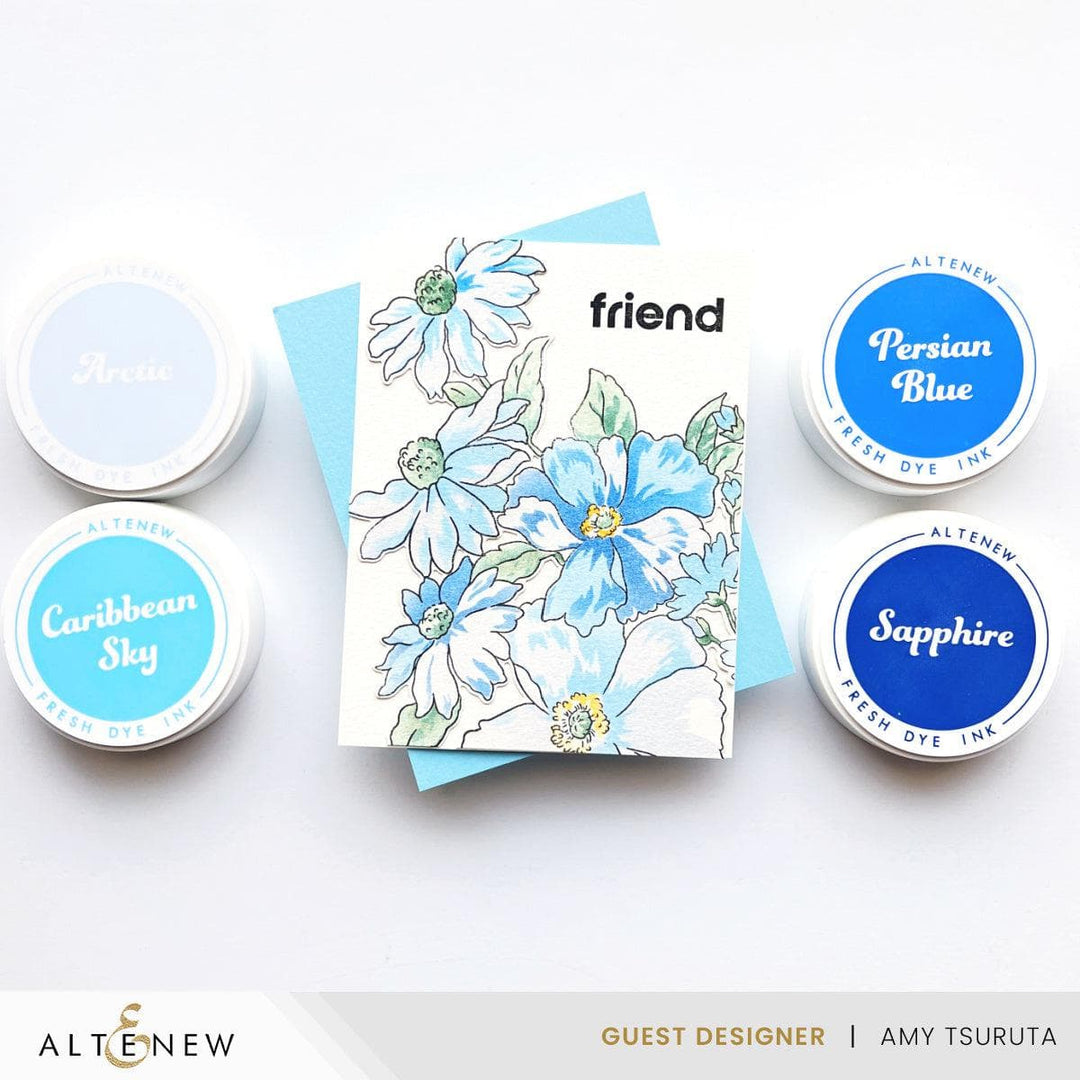 Vividly Versatile Fresh Dye Ink Bundle