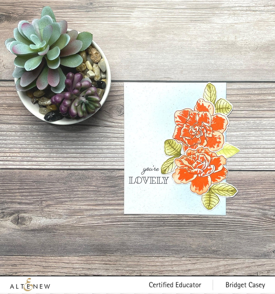 Stewart Superior Inks Canyon Clay Crisp Dye Ink