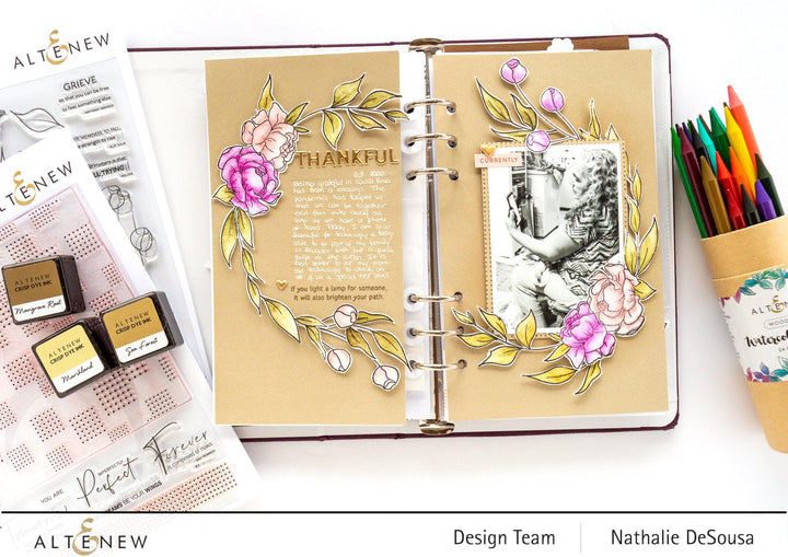 Stewart Superior Inks Nature's Wonders Crisp Dye Ink Mini Cube Set