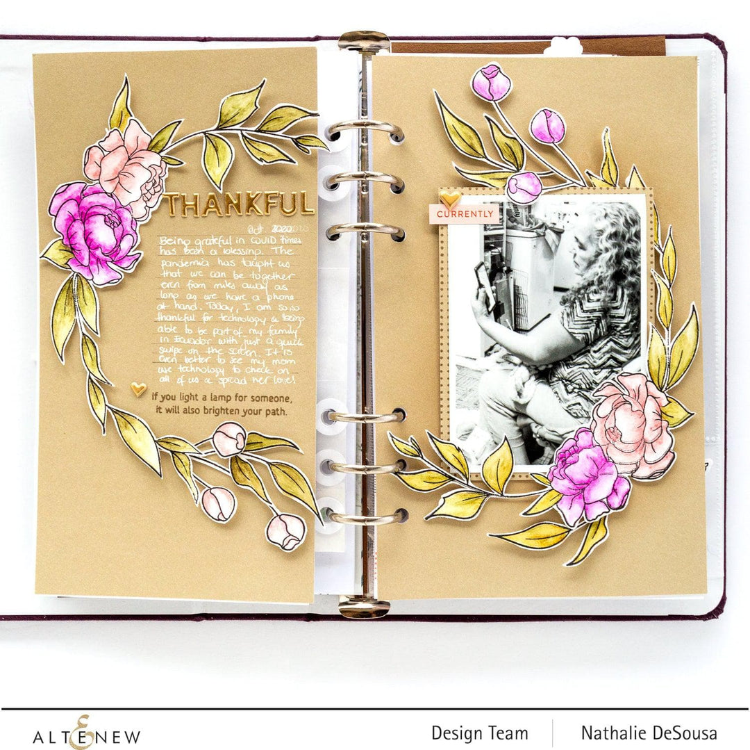 Stewart Superior Inks Nature's Wonders Crisp Dye Ink Mini Cube Set