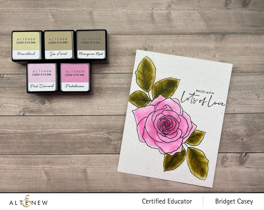 Stewart Superior Inks Nature's Wonders Crisp Dye Ink Mini Cube Set