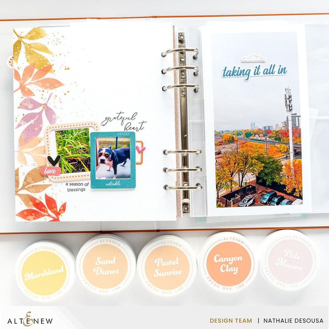 Nature’s Wonders Fresh Dye Ink Mini Cube Set