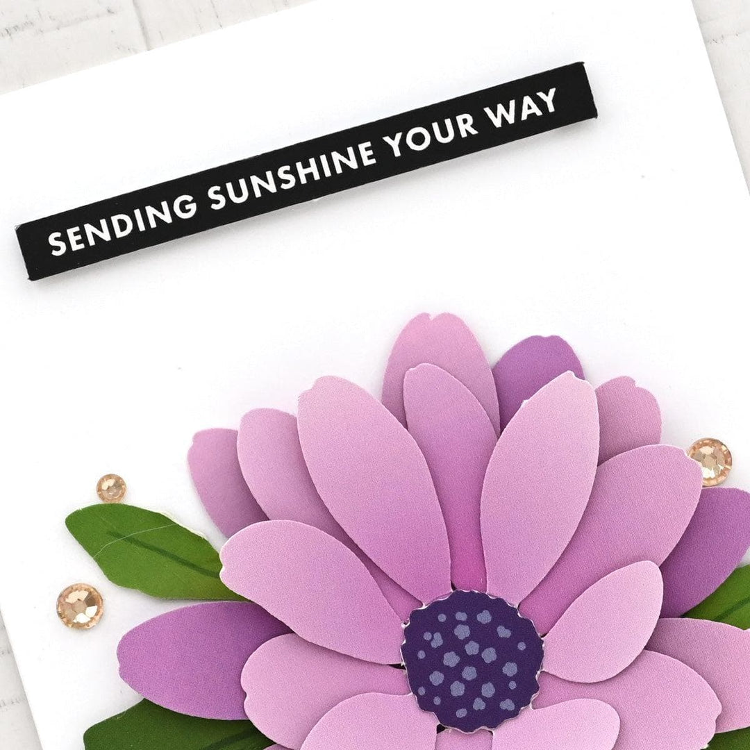 Floral Elegance Beginner Kit