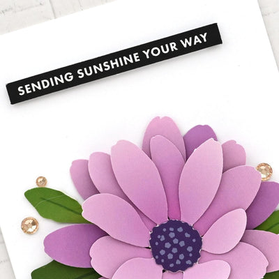 Floral Elegance Beginner Kit