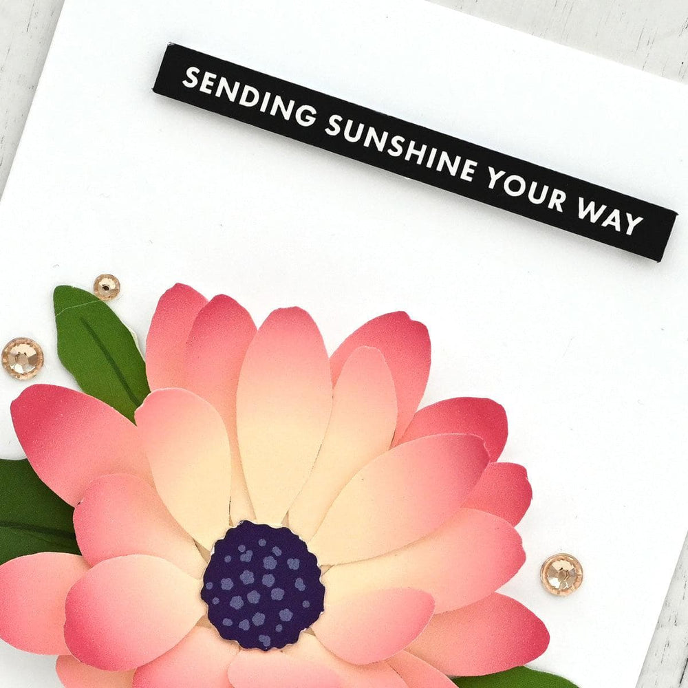 Floral Elegance Beginner Kit