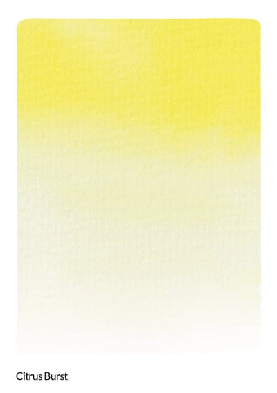 Citrus Burst Liquid Watercolor - Brush Marker Refill