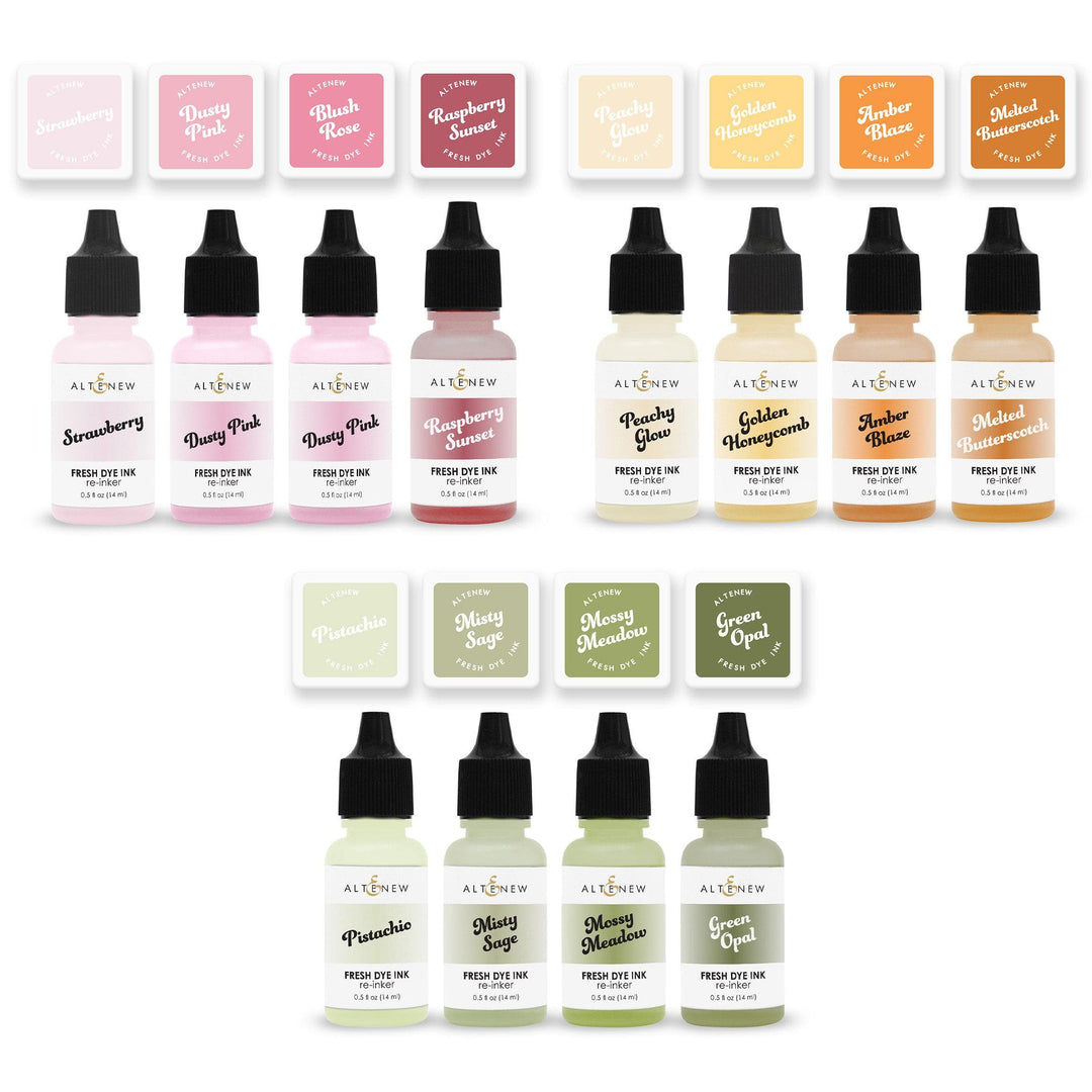 Botanical Brilliance Fresh Dye Ink Mini Cube & Re-inker Bundle