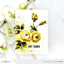 Wood Warbler Fresh Dye Ink Mini Cube & Re-inker Bundle