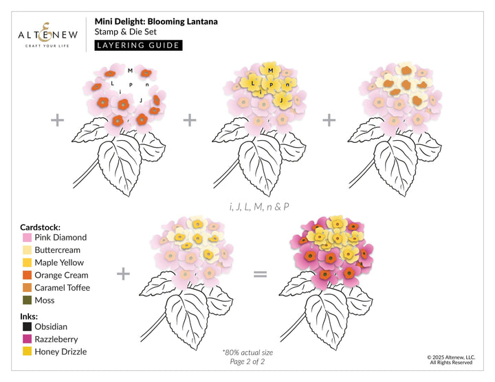 Mini Delight: Blooming Lantana Stamp & Die Set