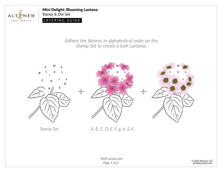 Mini Delight: Blooming Lantana Stamp & Die Set