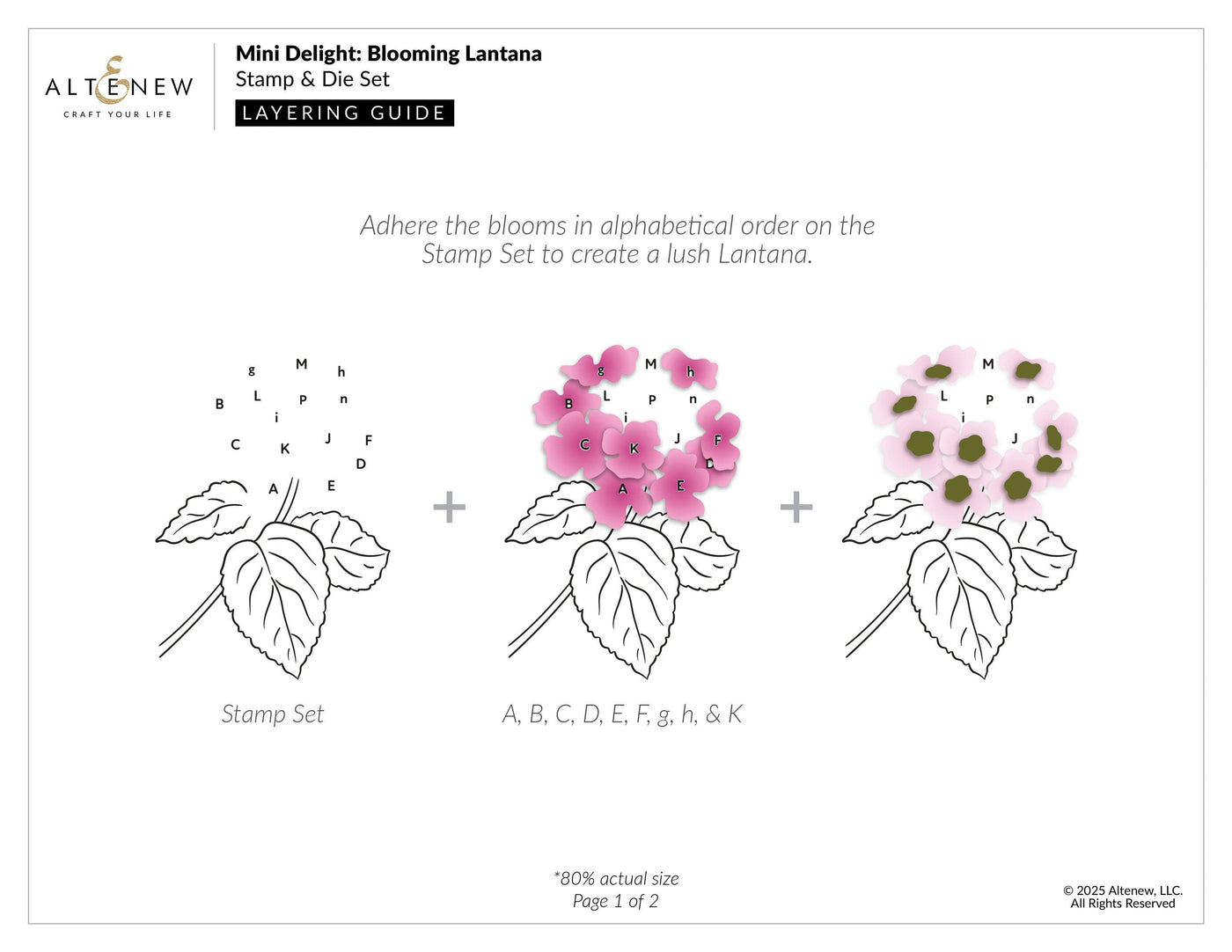 Mini Delight: Blooming Lantana Stamp & Die Set