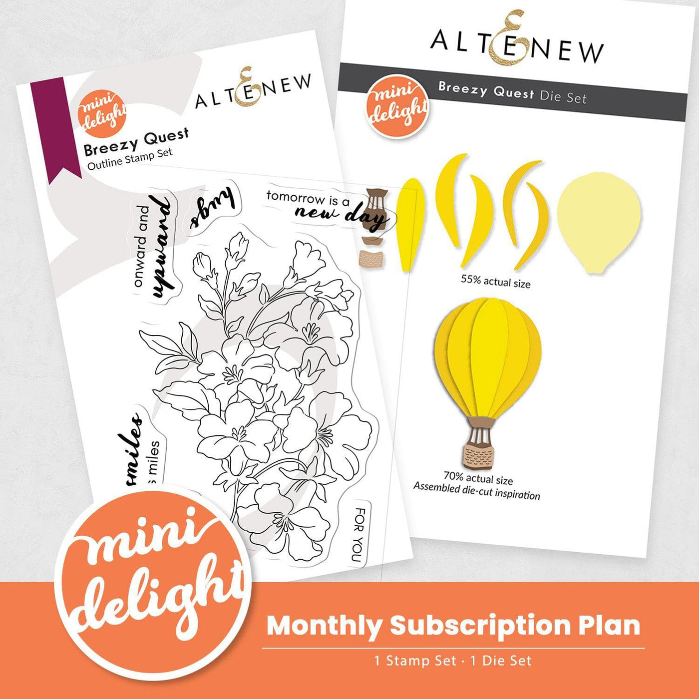 Mini Delight Monthly Subscription Plan