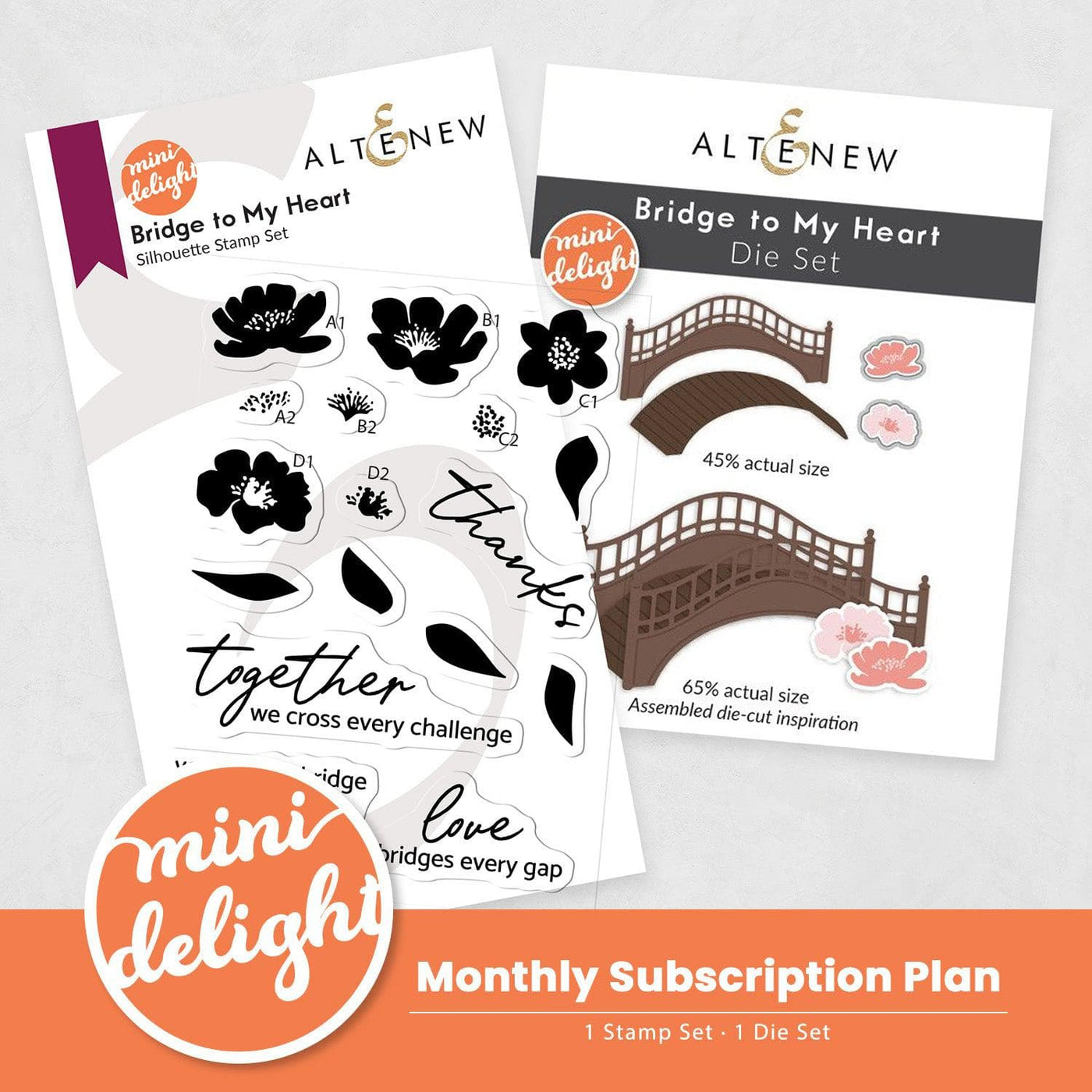 Mini Delight Monthly Subscription Plan