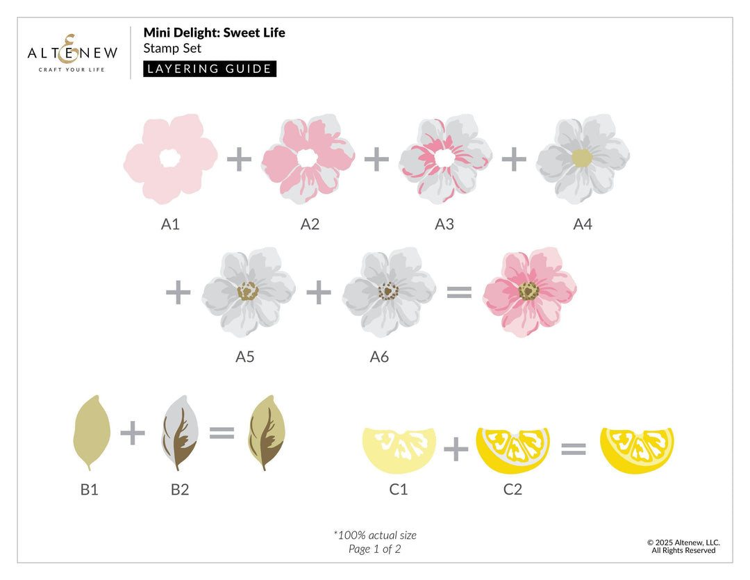 Mini Delight: Sweet Life Stamp & Die Set