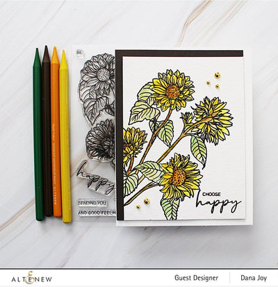 Sunny Doodles Woodless Watercolor Pencils Bundle