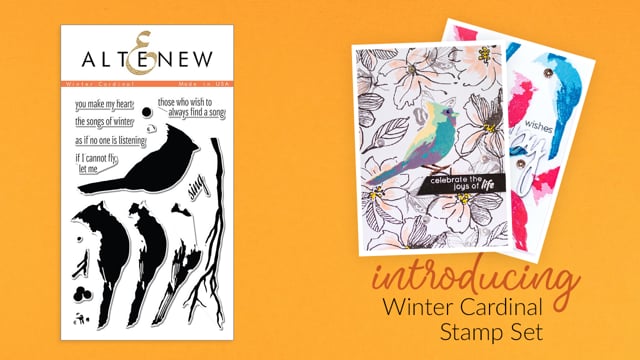 WAY OF THE BIRD Andy Davis メッセージサイン入り WAY OF THE BIRD Andy Davis メッセージサイン入り WAY OF THE