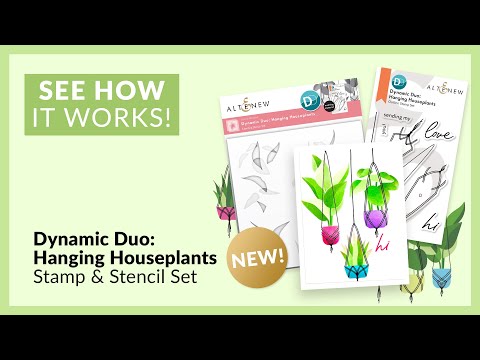 Dynamic Duo: Hanging Houseplants