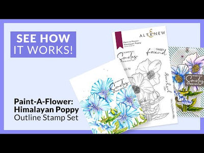 Paint-A-Flower: Himalayan Poppy & Monochrome Shading Pencils Bundle