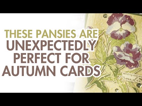 Build-A-Garden: Fanciful Pansies