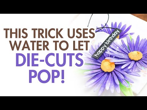 Craft-A-Flower: Asters Layering Die Set