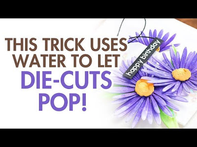 Craft-A-Flower: Asters Layering Die Set