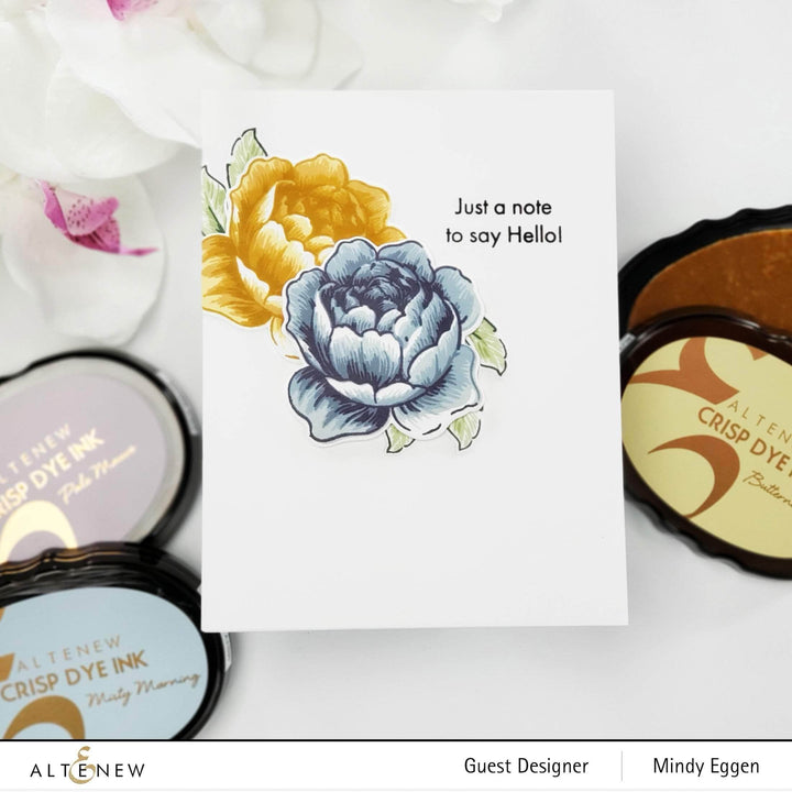 Stewart Superior Re-inker Nimbus Dye Ink Re-inker