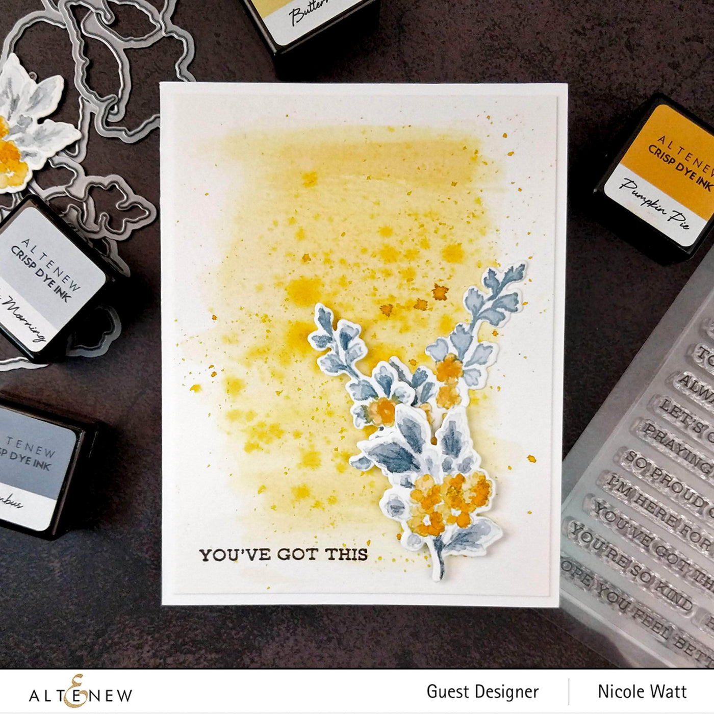 Stewart Superior Re-inker Nimbus Dye Ink Re-inker