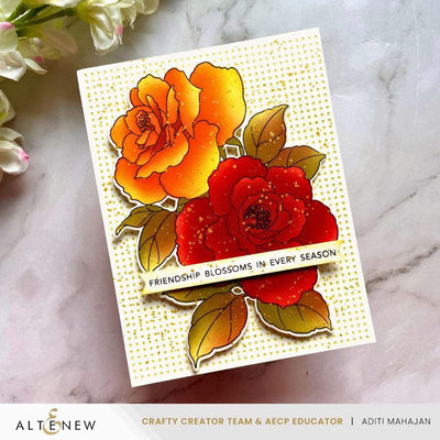 August 2025 Full Release Bundle