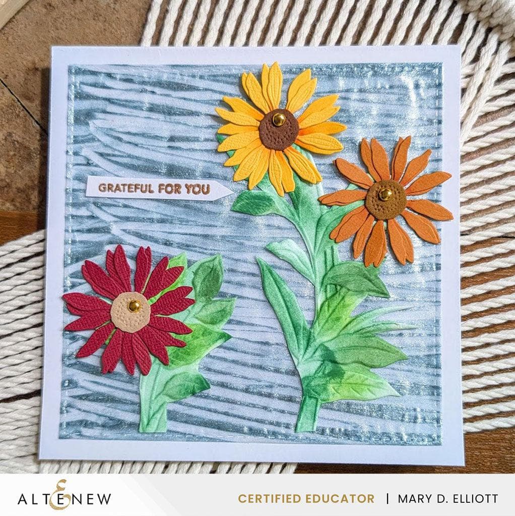 August 2025 Full Release Bundle