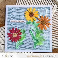 August 2025 Full Release Bundle