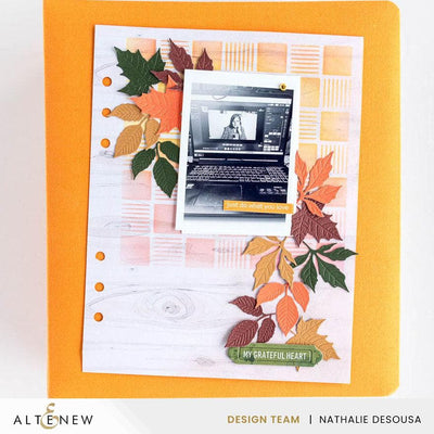 August 2025 Full Release Bundle