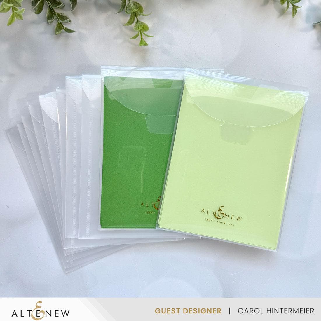 August 2025 Full Release Bundle