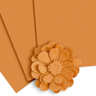 Crafty Necessities Cardstock Bundle