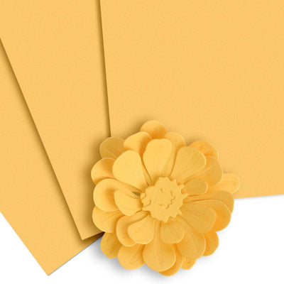 Crafty Necessities Cardstock Bundle