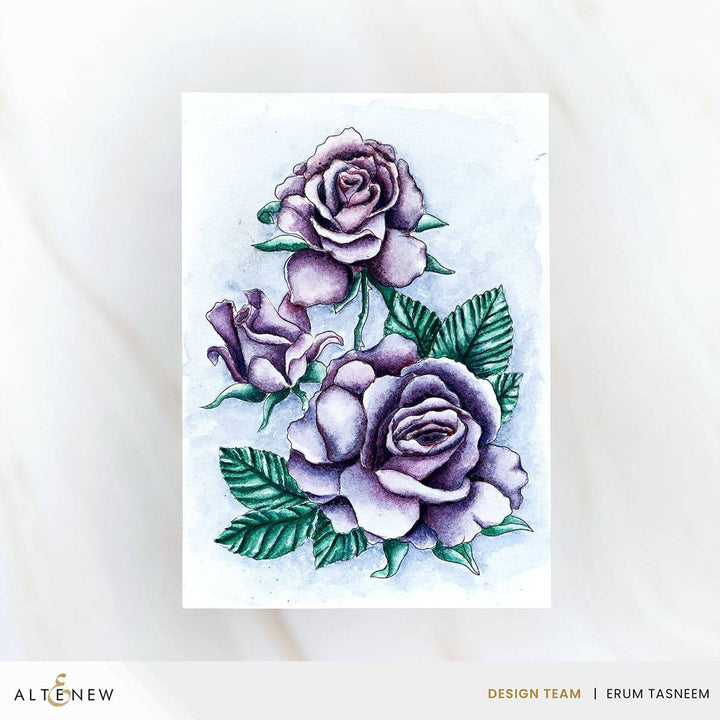 December 2025 Full Release Bundle