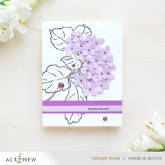 January 2026 Full Release Bundle