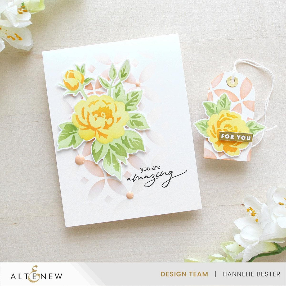 November 2025 Full Release Bundle